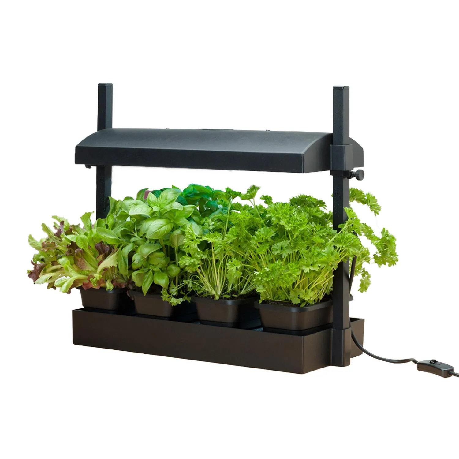 Micro Black Grow Light Garden Halifax Seed