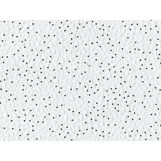 Pebbled ClimaPlus 4800 Acoustical Panel 2' x 4' x 5/8"-8/BX