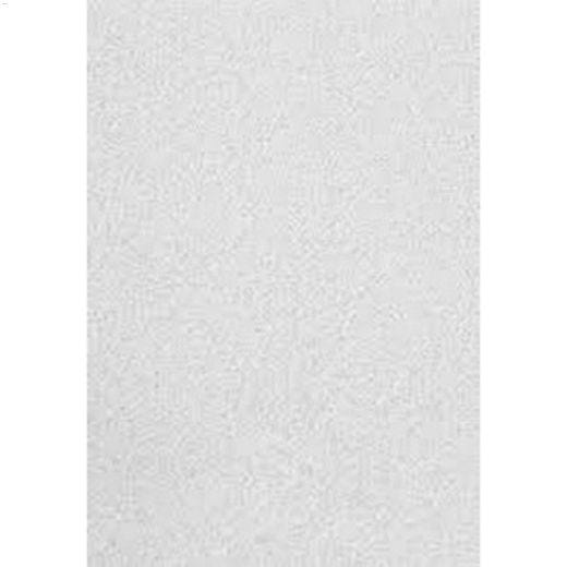Halcyon ClimaPlus 97221 Acoustical Panel 2'x2' x 3/4"-16/BX