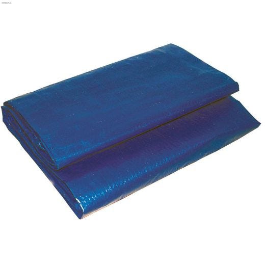 8' x 10' Blue Economy Tarp