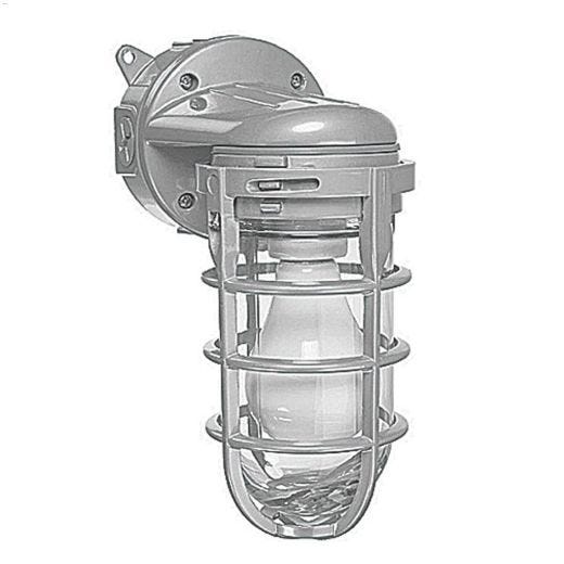 150 Watt Outdoor Metal Cage Light