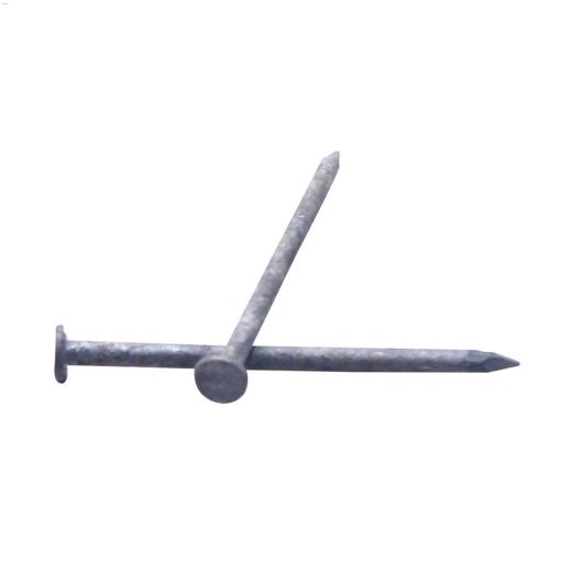 4\" HDG Common Nail-1.5kg 90\/Box