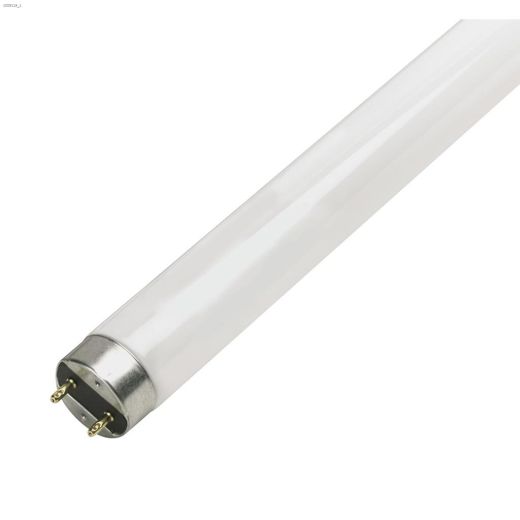 13 Watt Mini Bi-Pin T5 Fluorescent Bulb