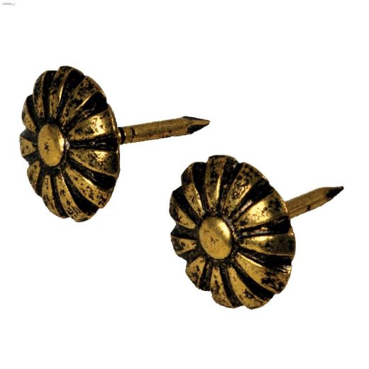 Daisy Oxford Head Upholstery Furniture Nail