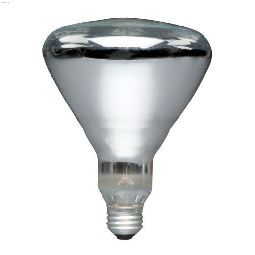 BR40 250W Heat Lamp Clear Incandescent Bulb