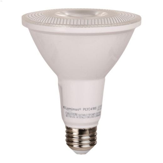 PAR30 11W 5000K Dimmable LED Bulb