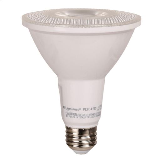 PAR30 11W 5000K Dimmable LED Bulb