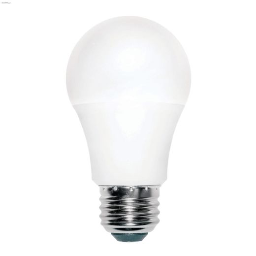 A19 6W 5000K Non-Dimmable LED Bulb-2/Pack