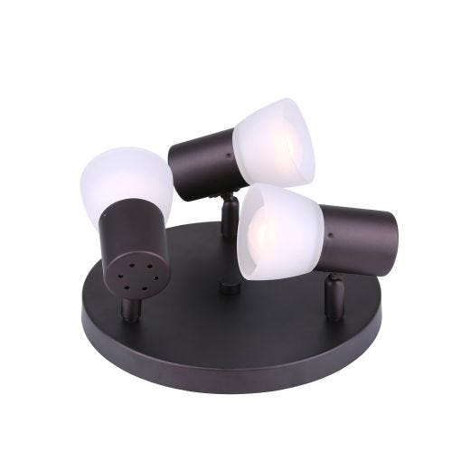 Hudson 3 Light Canopy Fixture