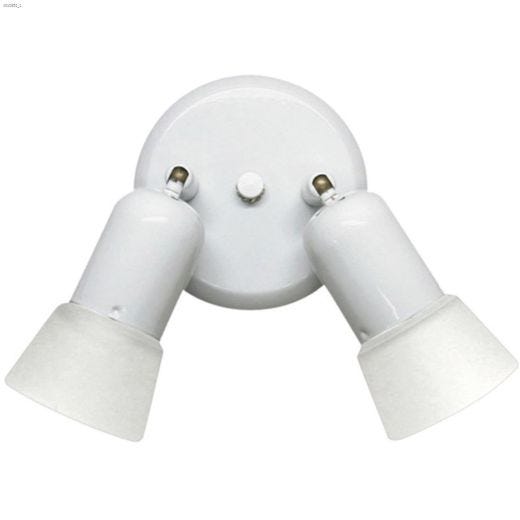 Omni 2 Light Canopy Fixture