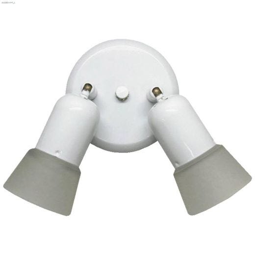 Omni 2 Light Canopy Fixture