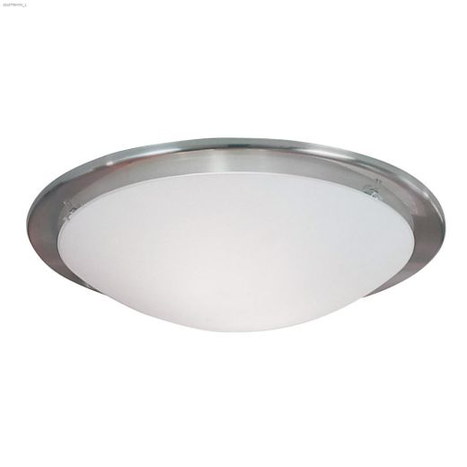 Planet 2 Light E26 A19 60 Watt Matte Nickel Luminaire