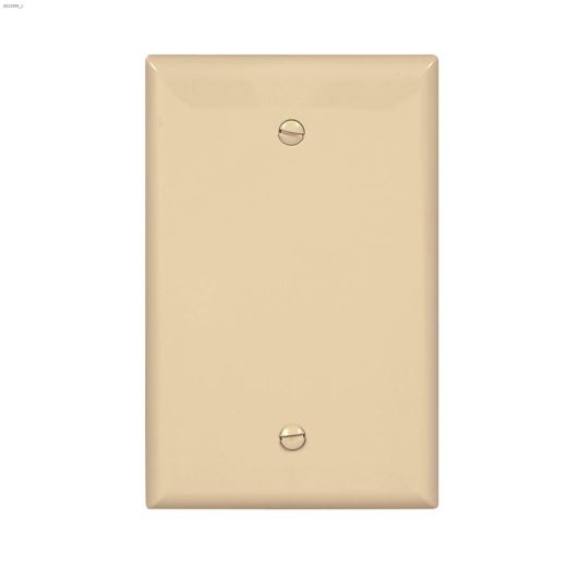 Polycarbonate Blank Wallplate