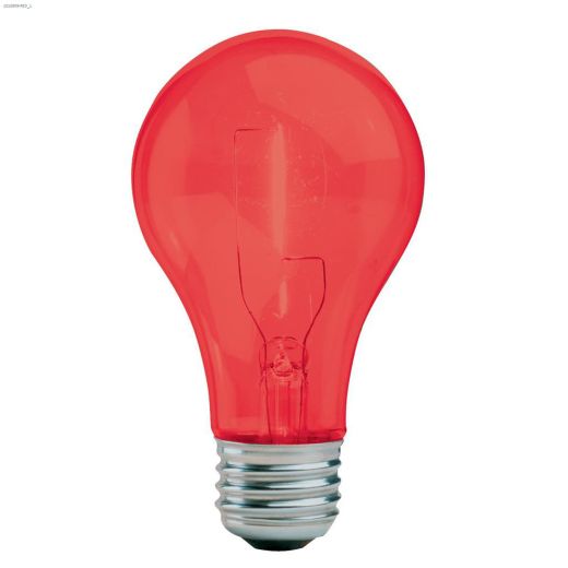 A19 25W Incandescent Bulb