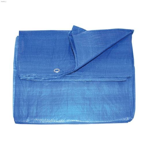 15' x 20' Blue Economy Tarp