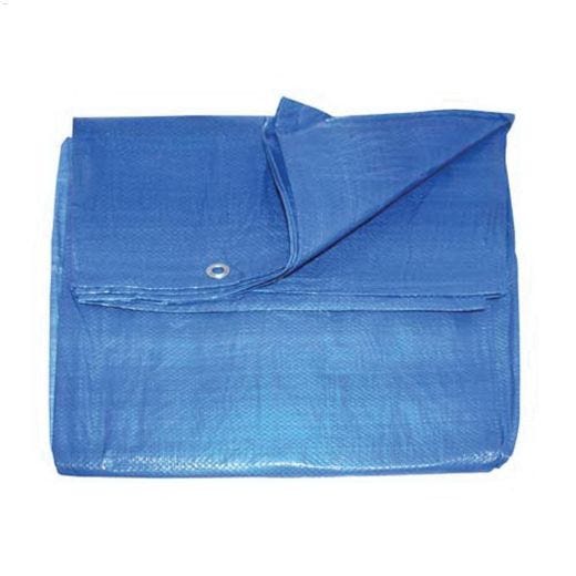 30' x 50' Blue Economy Tarp