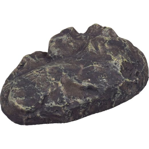 Rock Key Hider For Near House Or Garage