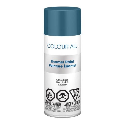 Peinture brillante en aérosol de 283 g