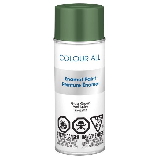 10 oz Gloss Spray Paint