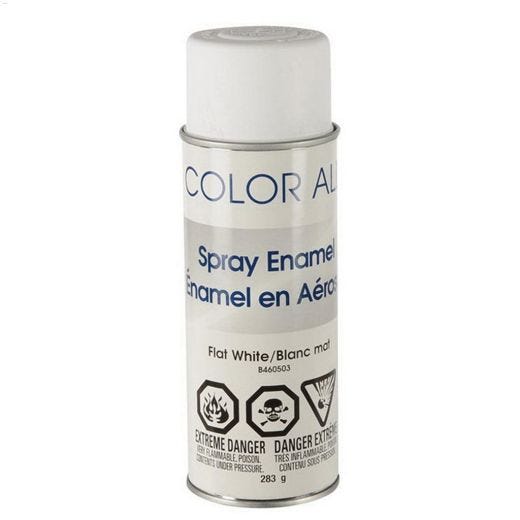 283 g Flat Spray Paint