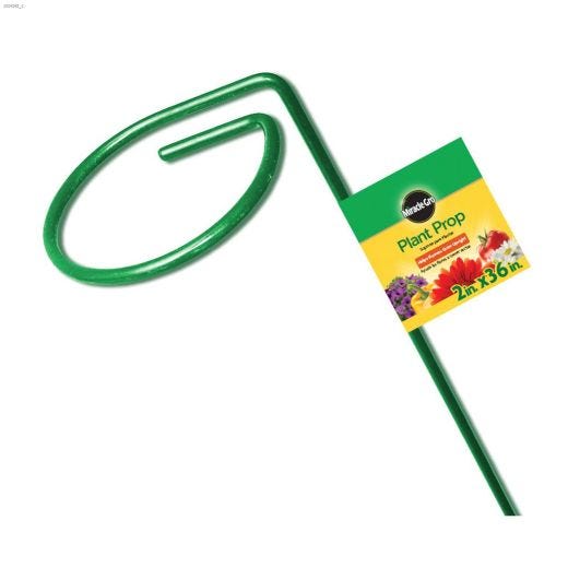 Miracle-Gro\u00ae 2\" Ring x 36\" Plastic-Coated Plant Prop
