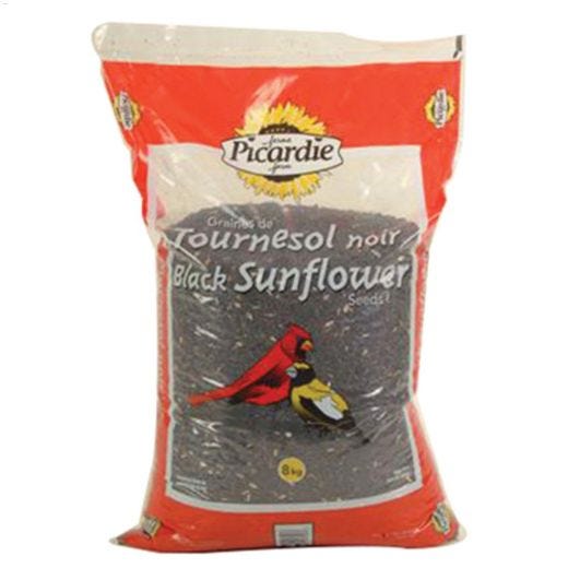 8 kg Treated Black Sunflower Seed