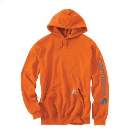 Midweight Hooded Logo Men's Sweatshirt