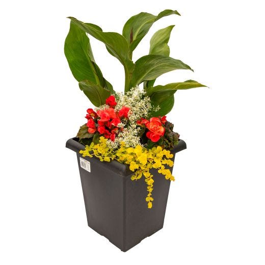 Tall Sloan Planter