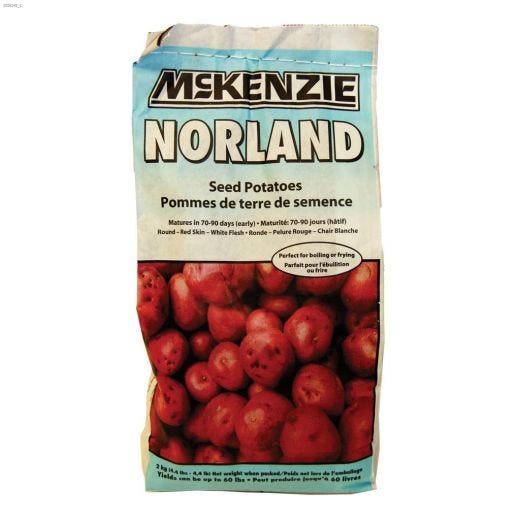 Norland Potato 2 kg