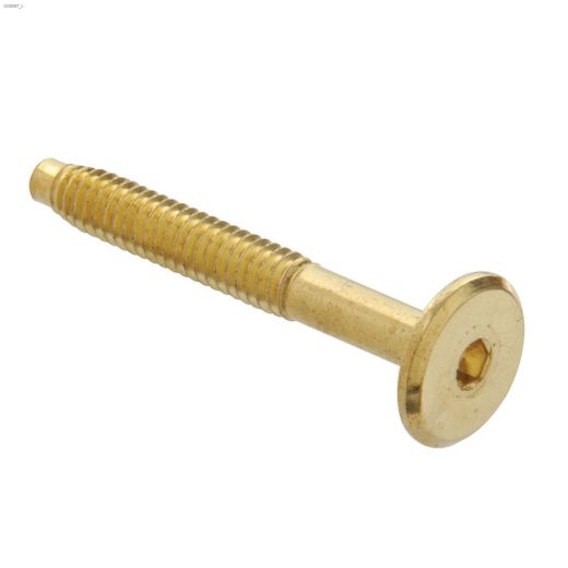 1\/4-20 x 50 mm Polished Brass Connector Bolt