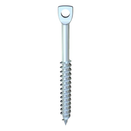 1/4 x 3" Eye-Lag Screw 5 Lb Box