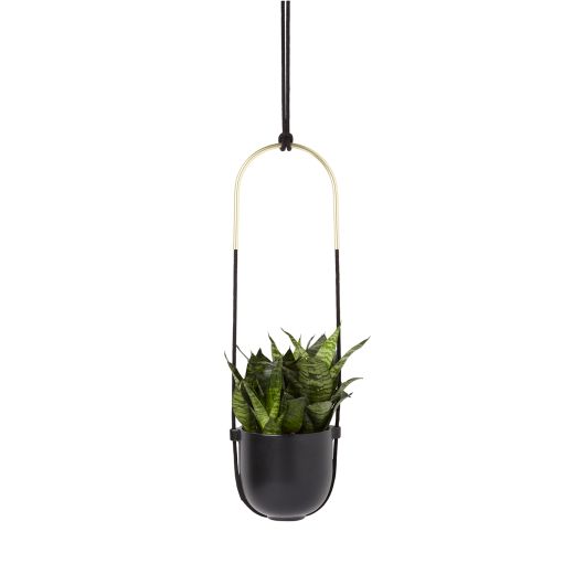 Bolo Planter
