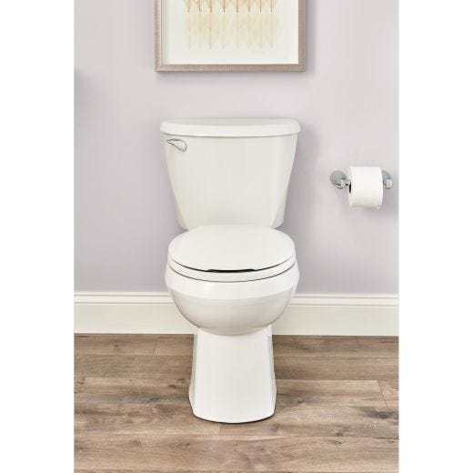 Reliant Complete Toilet