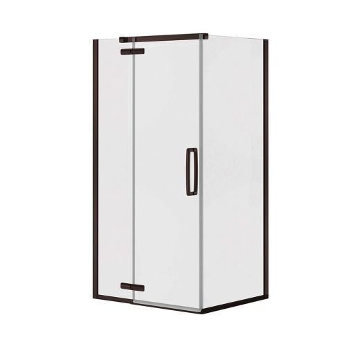 Porte de douche pivotante rectangulaire sans