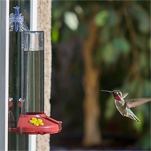 Perky-Pet Window Mount Hummingbird Feeder