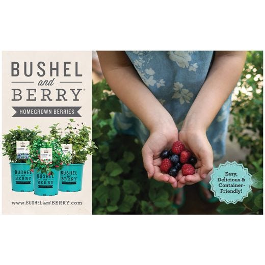 2 Gallon Bushel & Berry Assorted