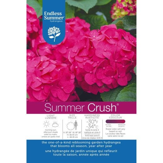 2G Endless Summer Hydrangea