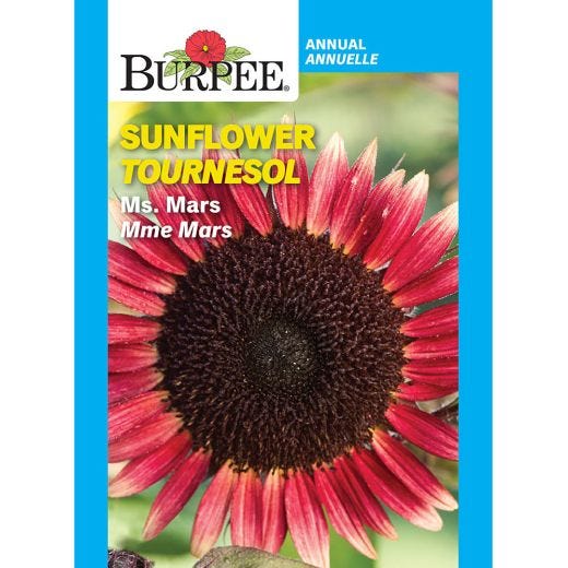 Assorted Flower Seeds
