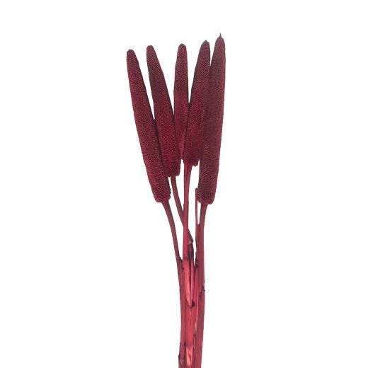Cigar Millet Stem