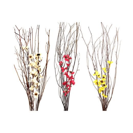 Dried Bouquet Stem