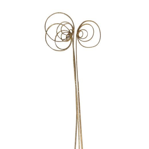 Cane Circle Stem