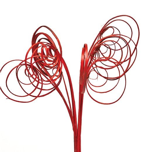 Cane Circle Stem