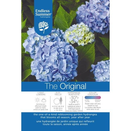 Endless Summer The Original Hydrangea (Blue) 2G