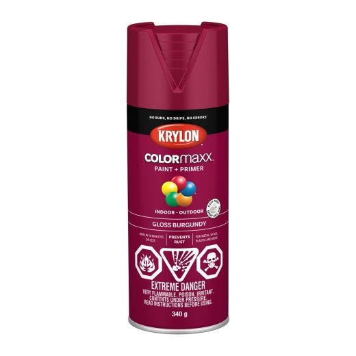 Krylon ColorMaxx Spray Paint-Gloss 340g