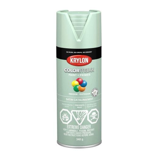 Krylon ColorMaxx Spray Paint-Satin 340g