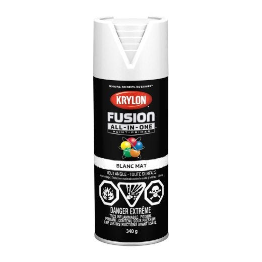 Krylon Fusion Spray Paint-Flat 340g