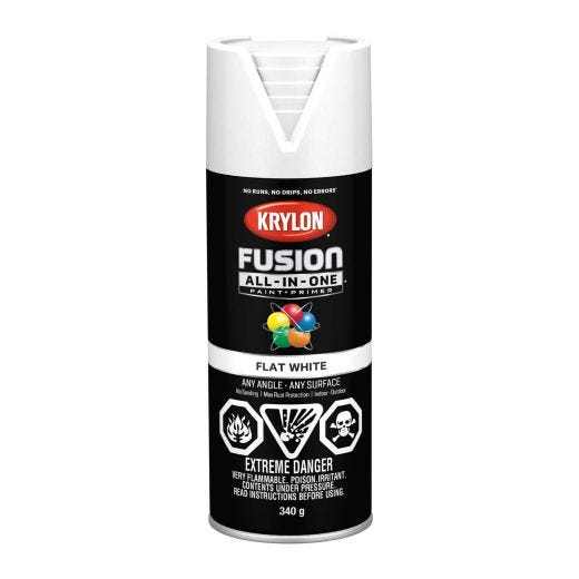 Krylon Fusion Spray Paint-Flat 340g