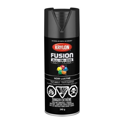 340 g Krylon Fusion All-In-One - Gloss