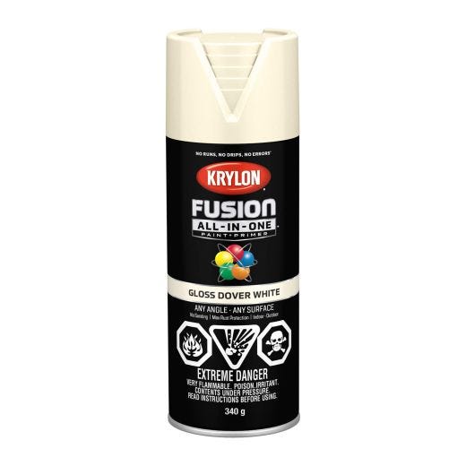 340 g Krylon Fusion All-In-One - Gloss