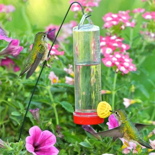 Planter Box 3 Oz Plastic Hummingbird Feeder With Hanging Rod